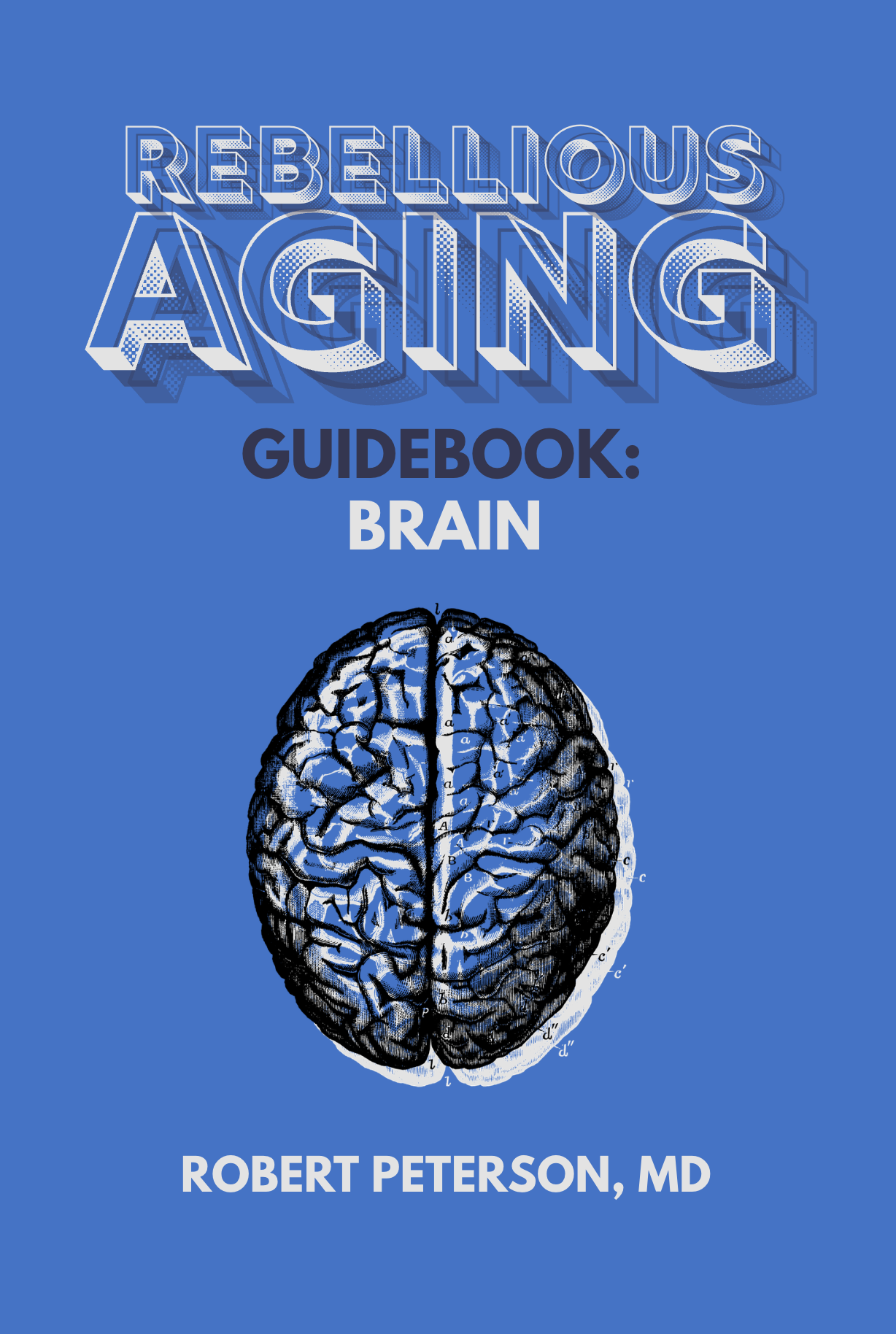 Brain